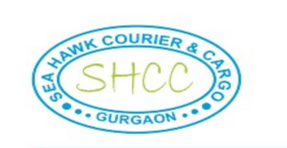 Seahawk Courier Logo